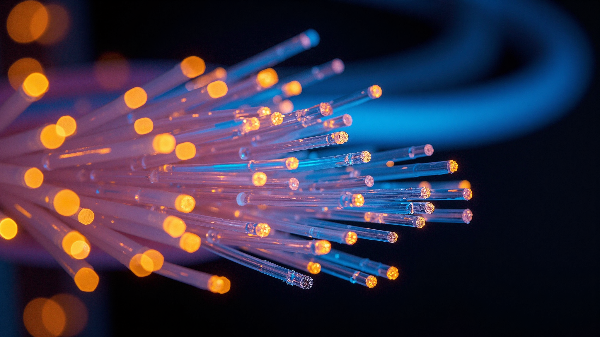 Fiber optic cables running through a telecommunications distribution panel